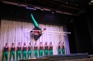 Bilder Jahresaufführung 2019_195