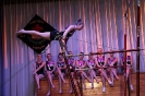 Bilder Jahresaufführung 2019_120