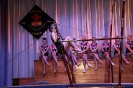Bilder Jahresaufführung 2019_23