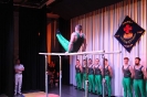 Bilder Jahresaufführung 2019_214