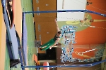 SW_113