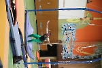 SW_114