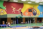 SW_220