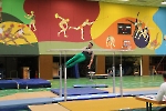 SW_255