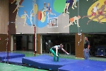 SW_335