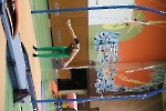 SW_95