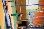 SW_96