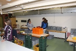 BMC_207