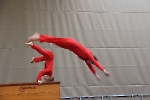 BDG_210