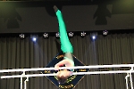 BDG_41